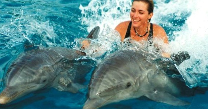 Dolphin Swim Adventure - Tulum Akumal